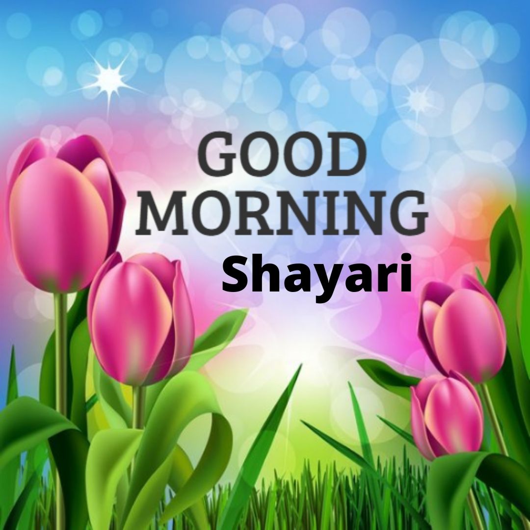 Good morning Shayari | [100+] गुड मॉर्निंग शायरी