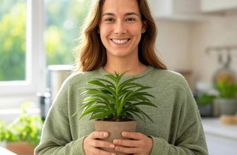 Sustainable Living Practices